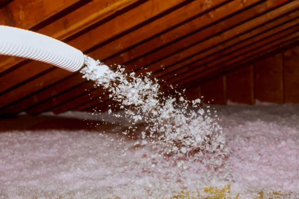 Best Commercial Insulation in Savannah, GA