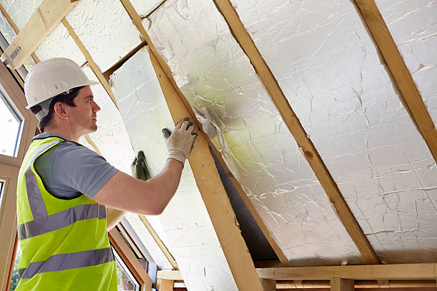 Best Residential Insulation in Savannah, GA
