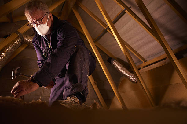 Best Insulation Maintenance and Repair in Savannah, GA